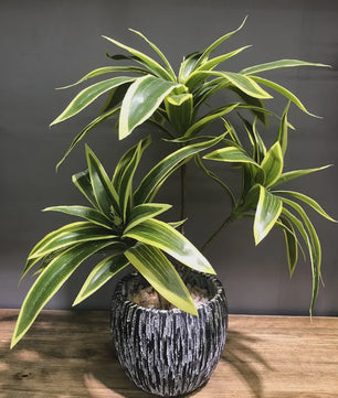 Kunstplant 36cm met 3 Bamboe-achtige Takken - Tropische Decoratie