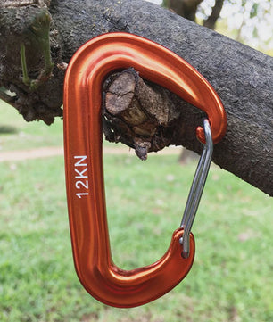 12KN D-vorm Karabijnhaak - Kleine Klimhaak voor Outdoor, Camping & Outdoor Avonturen