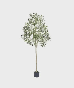 Hoge Kunst Olijfboom (120-180cm) - Onderhoudsvrije Decoratie voor Binnen