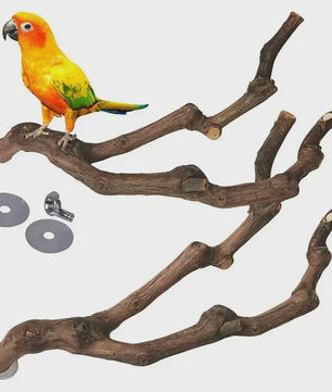 Natuurlijke Grapewood Zitstok voor Papegaaien & Parkieten - Knaag- en Klimspeelgoed