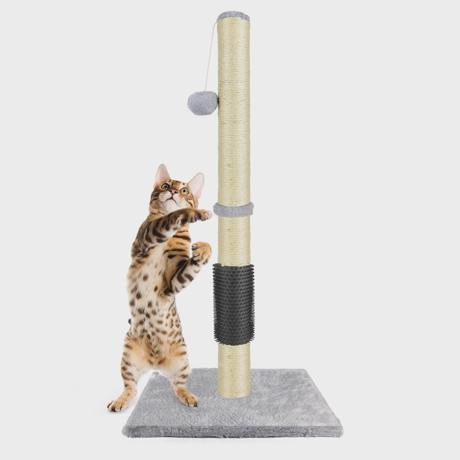80cm Krabpaal voor Katten met Speelbal en Stabiele Basis