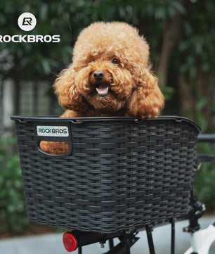 ROCKBROS Fietsmand Achter - Grote Capaciteit met Uitschuifbare Deksel - Zwart