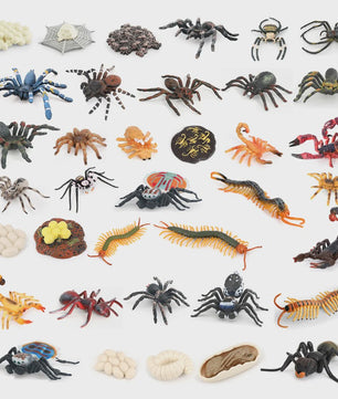 Montessori Levenscyclus Insecten Speelgoed: Spin, Duizendpoot, Schorpioen & Mier