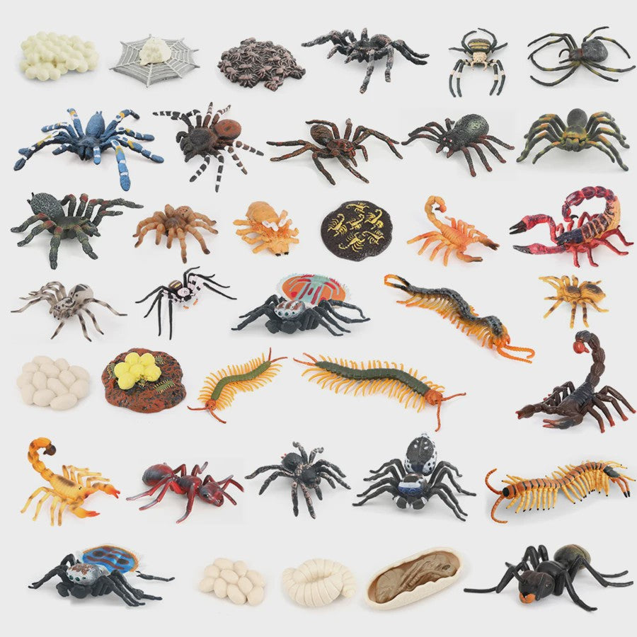 Montessori Levenscyclus Insecten Speelgoed: Spin, Duizendpoot, Schorpioen & Mier