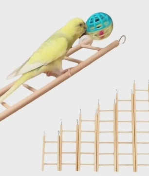 Natuurlijke Houten Klimladder Speelgoed voor Vogels en Hamsters - Veilig & Duurzaam