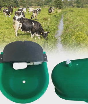Automatische Drinkbak voor Vee - Duurzaam en Hygiënisch