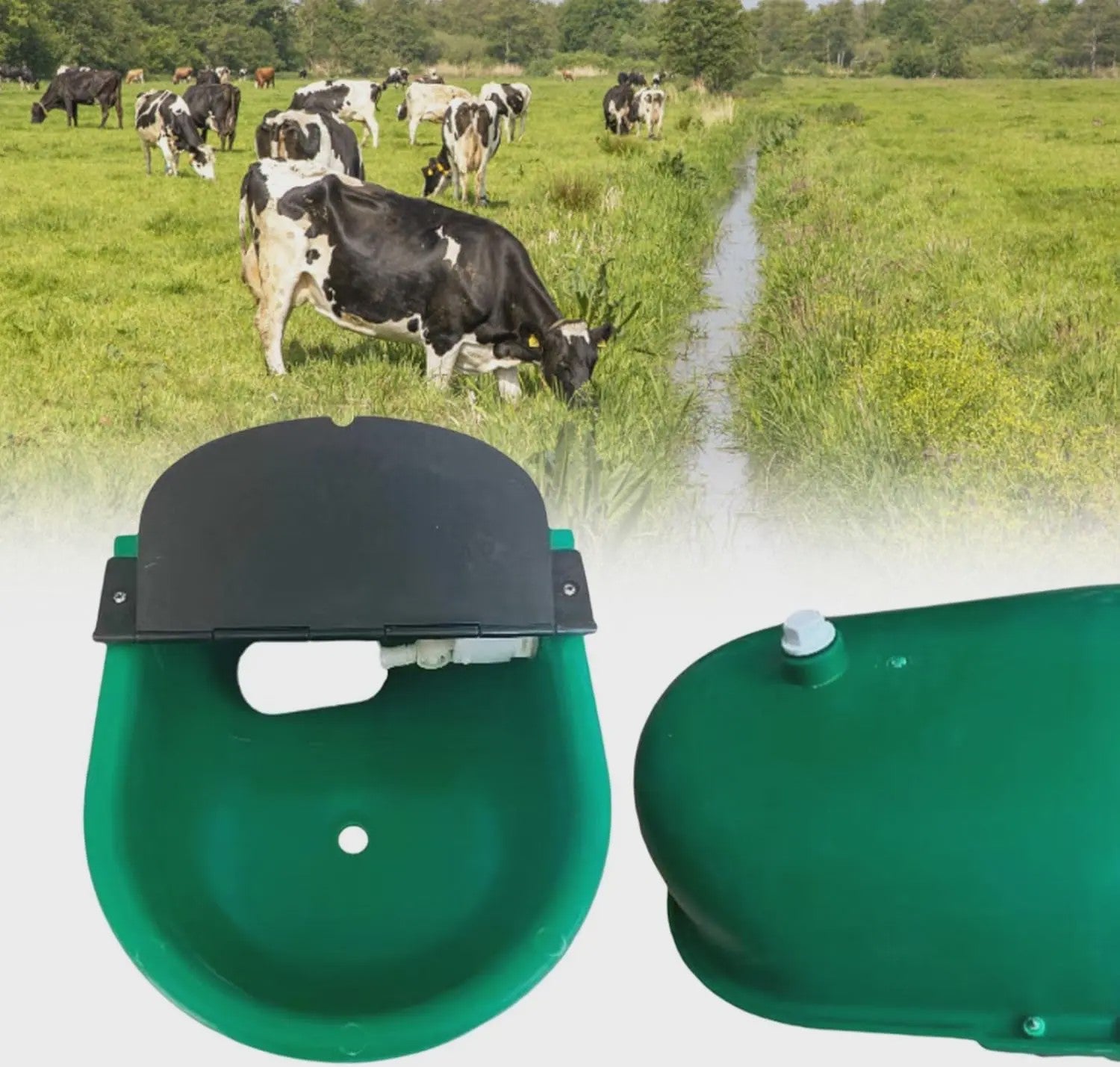 Automatische Drinkbak voor Vee - Duurzaam en Hygiënisch