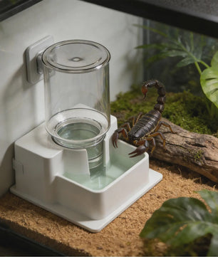 Automatische Reptielen Voerbak & Waterdispenser - Zelfvoorzienend en Afneembaar