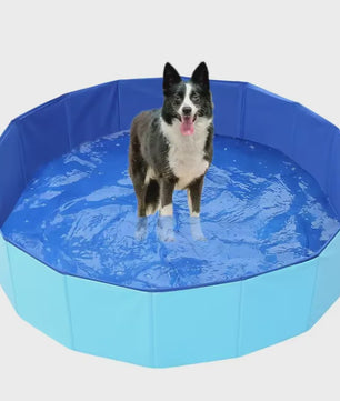 Opvouwbaar PVC Hondenbad 120x30cm - Draagbaar Zwembad voor Binnen & Buiten Gebruik