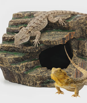 Decoratieve Reptielen Grot & Basking Platform - Hars Ornament voor Aquarium en Terrarium