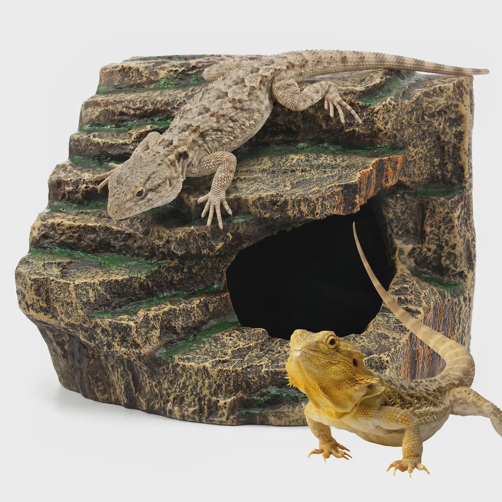 Decoratieve Reptielen Grot & Basking Platform - Hars Ornament voor Aquarium en Terrarium