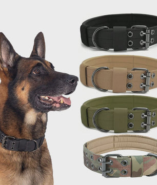 Tactische Hondenhalsband - Duurzaam Nylon Militaire Stijl voor Middelgrote tot Grote Honden