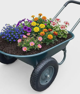 Stevige 2-wiel kruiwagen voor tuin en buiten – 120 kg capaciteit, ijzeren bak & kunststof
