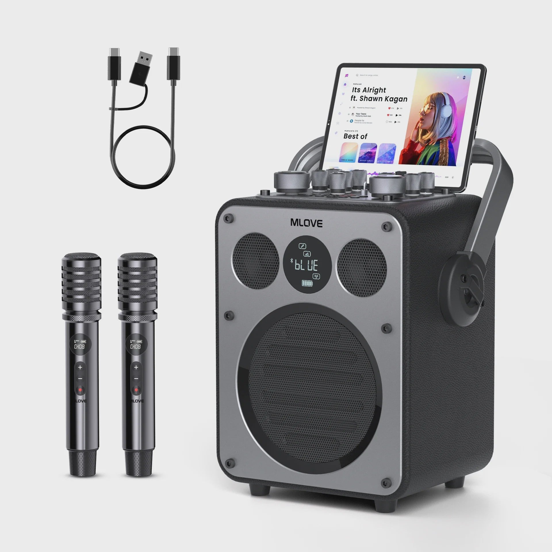 MLOVE D5 Professionele Karaoke Machine met 2 Draadloze Microfoons & Bluetooth