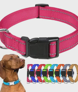 Reflecterende Hondenhalsband - Verstelbaar Nylon, Veilig en Duurzaam