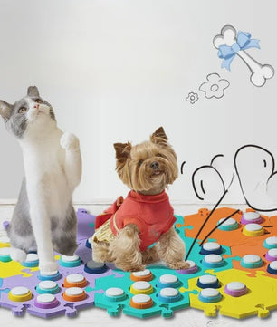 Interactieve Communicatieknoppen voor Honden & Katten - Leer je huisdier praten!
