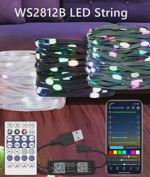 WS2812B Adressable RGB LED Stringverlichting met USB Controller - Waterdicht & App Bedienbaar
