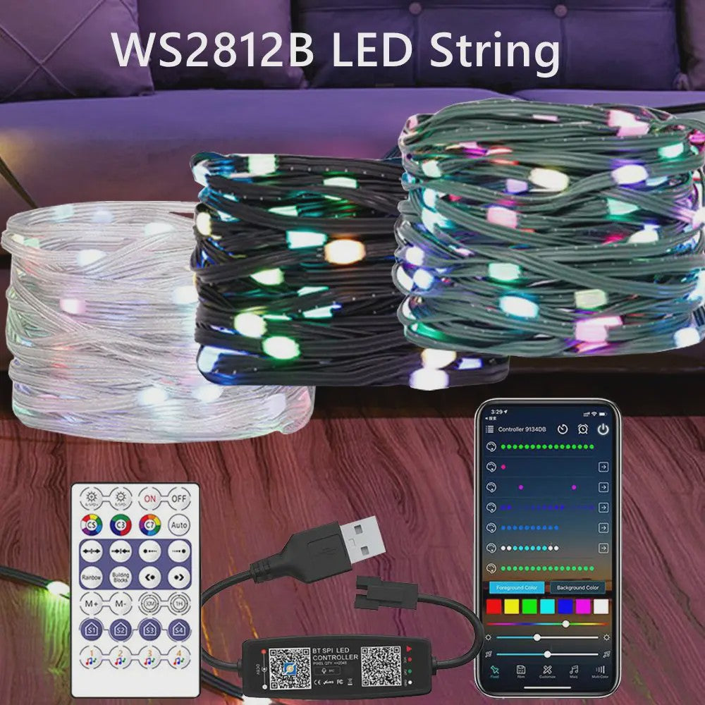 WS2812B Adressable RGB LED Stringverlichting met USB Controller - Waterdicht & App Bedienbaar