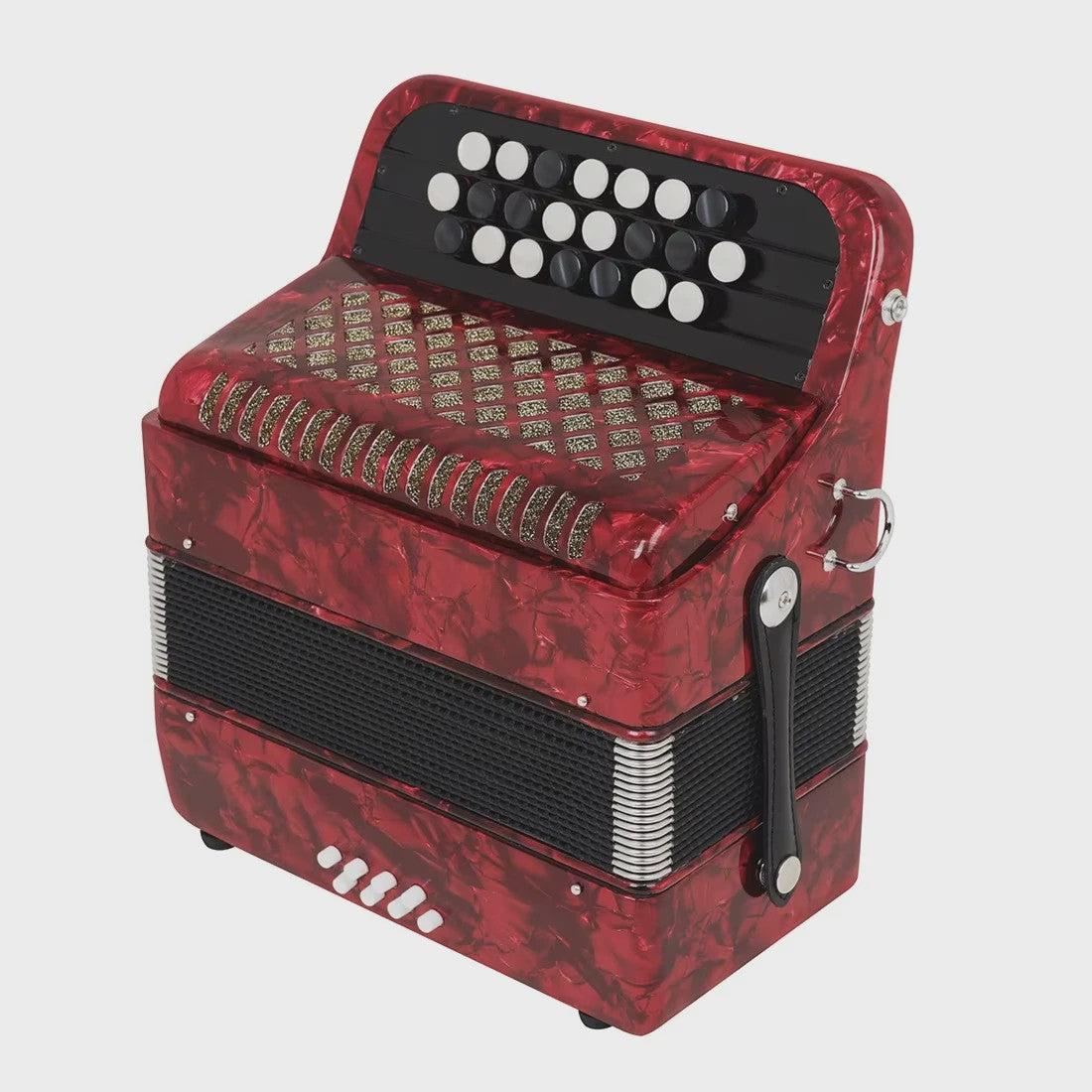 Professionele 22-Toets 8-Bas Accordeon voor Beginners en Gevorderden