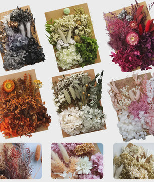 Set Gedroogde Bloemen & Hydrangea voor Ambacht & Decoratie