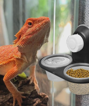 Voer- en Waterbakje met Zuignap voor Reptielen Terrarium