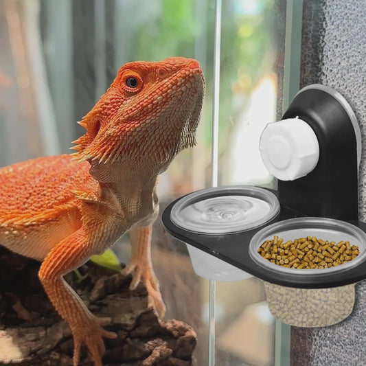 Voer- en Waterbakje met Zuignap voor Reptielen Terrarium