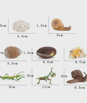 Educatieve Levenscyclus Figuren: Snail, Mantis & Sprinkhaan
