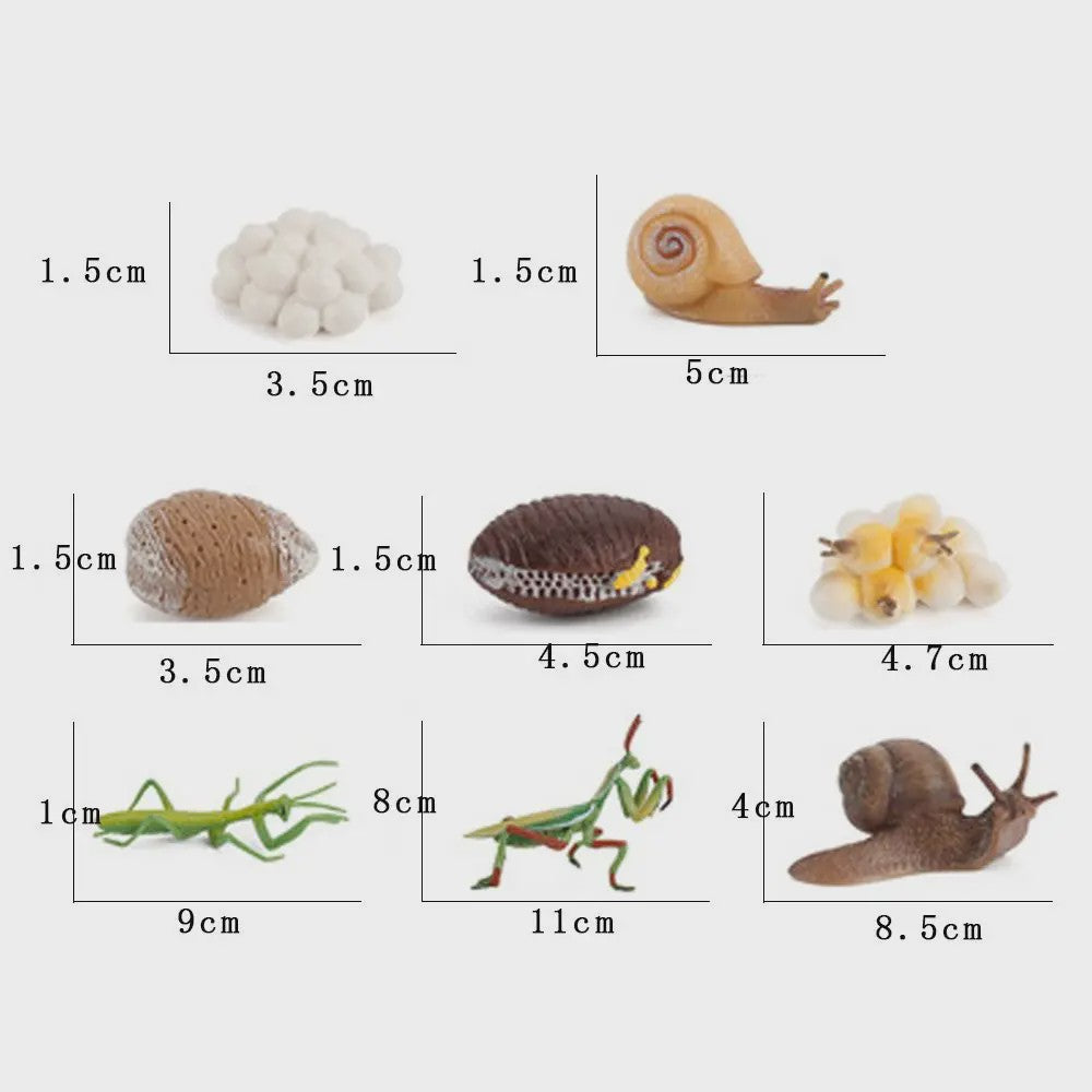 Educatieve Levenscyclus Figuren: Snail, Mantis & Sprinkhaan