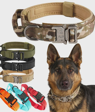 Sterke Tactische Hondenhalsband met Metalen Gesp - Nylon, Verstelbaar voor Training & Dagelijks Gebruik