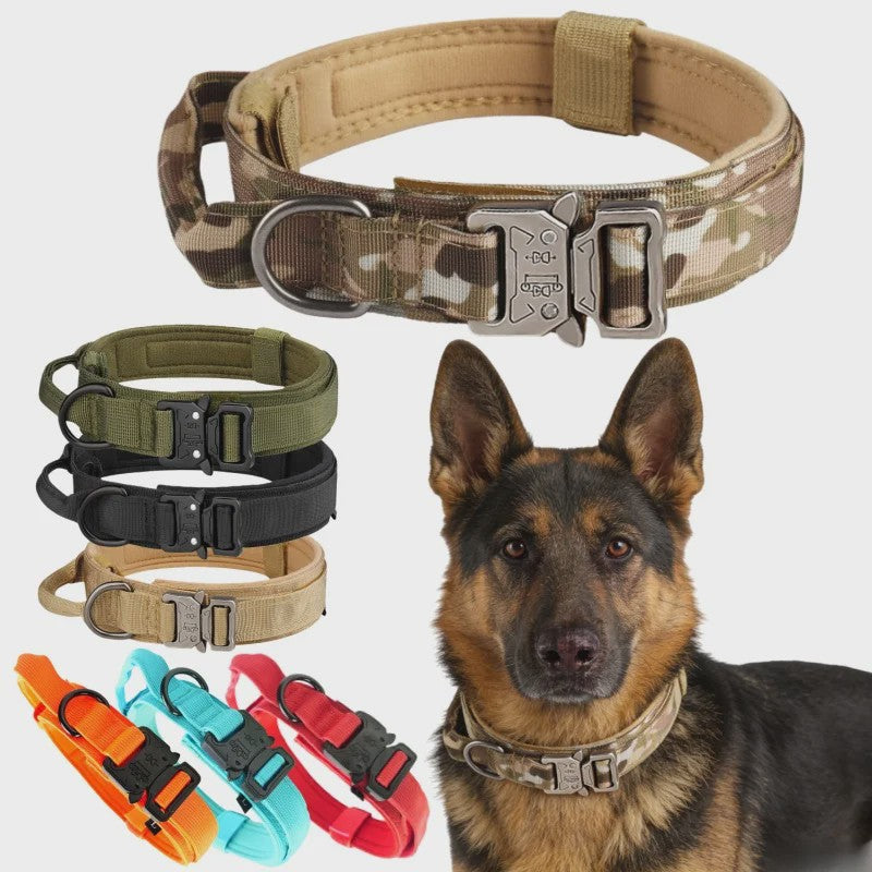 Sterke Tactische Hondenhalsband met Metalen Gesp - Nylon, Verstelbaar voor Training & Dagelijks Gebruik