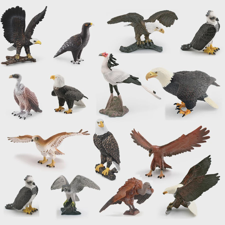 Realistische Roofvogel Figuren Set: Adelaar, Gier & Secretarisvogel - Educatief Speelgoed
