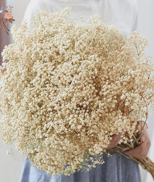 60g Gedroogde Baby's Breath Bloemboeket - Natuurlijke Gypsophila Decoratie
