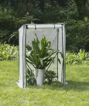 Compacte Kweekkas Tuin Tent - 100x50x136cm - Verplaatsbare Kas voor Planten en Groenten