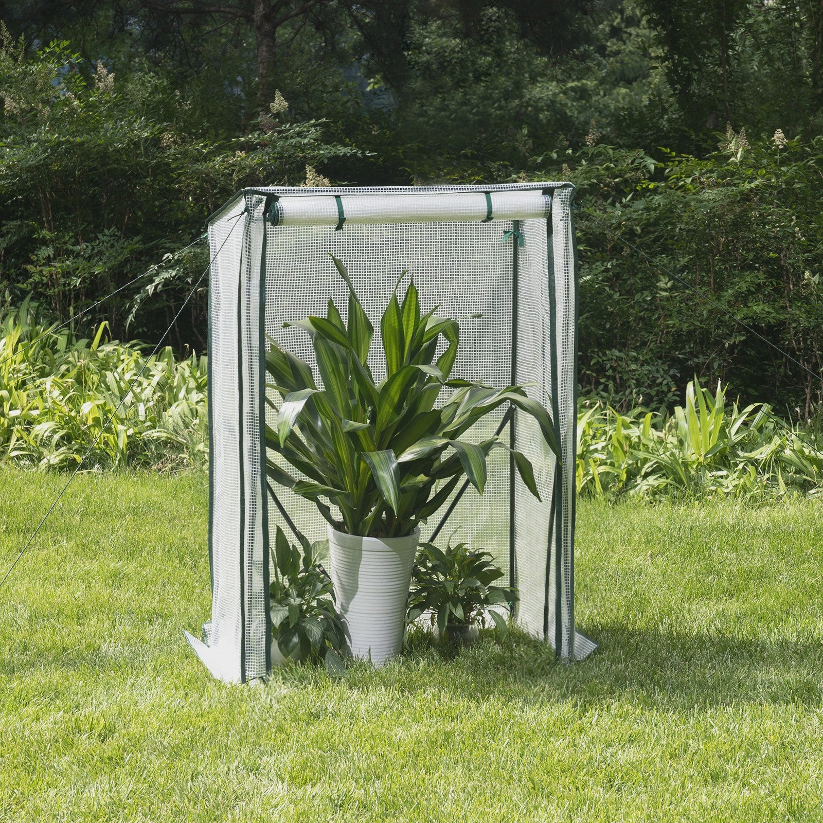 Compacte Kweekkas Tuin Tent - 100x50x136cm - Verplaatsbare Kas voor Planten en Groenten
