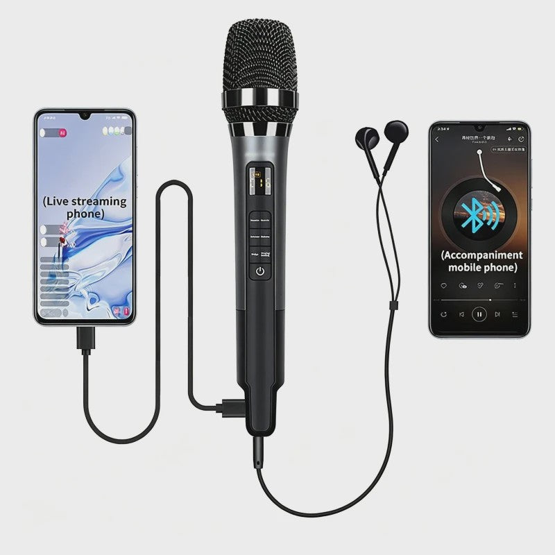 Draagbare Microfoon met Ingebouwde Geluidskaart en Echo - Ideaal voor Live Streaming