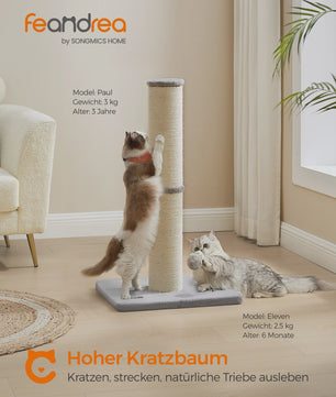 Feandrea Krabpaal 85 cm Hoog met Extra Dikke Stam (13 cm) voor Middelgrote en Grote Katten