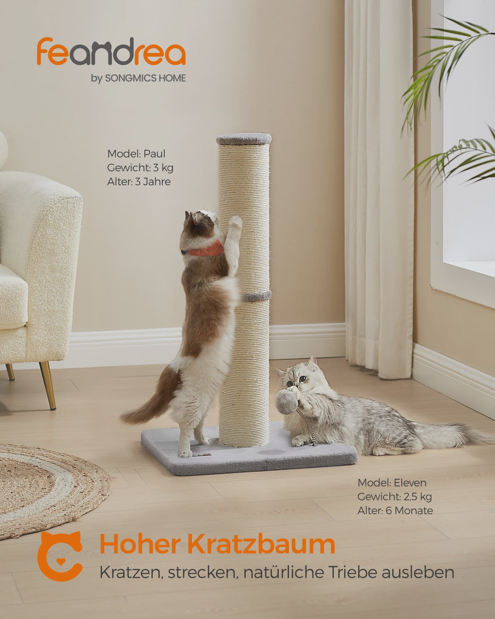 Feandrea Krabpaal 85 cm Hoog met Extra Dikke Stam (13 cm) voor Middelgrote en Grote Katten