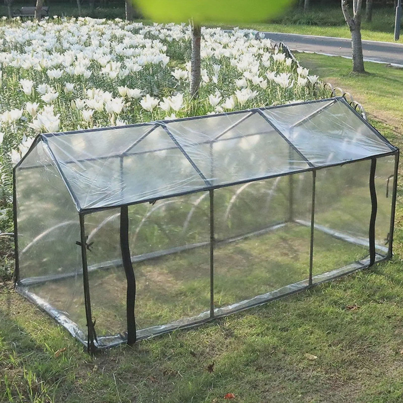 Mini Kas Tent - Eenvoudig Op te Zetten Kweekkas voor Binnen en Buiten
