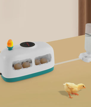 Digitale Broedmachine voor 8 Eieren - Automatische Incubator voor Kip, Eend en Kuiken