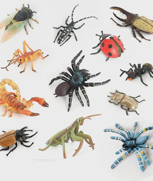 Realistische Insecten & Slakken Modellen - Educatief Speelgoed, Verzamelen & Decoratie
