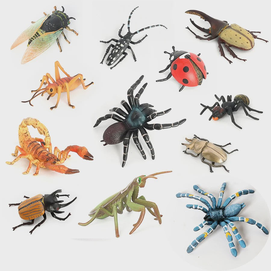 Realistische Insecten & Slakken Modellen - Educatief Speelgoed, Verzamelen & Decoratie