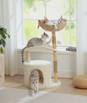 Luxe Kattenboom met Natuurlijk Hout, Wicker Mand & Krabpalen - Comfortabel Kattenhuis
