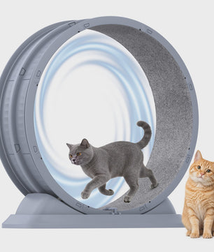 Groot Kattenloopwiel 31.5 inch - Stil & Veilig - Afneembaar Tapijt - Indoor Fitness Loopband voor Katten
