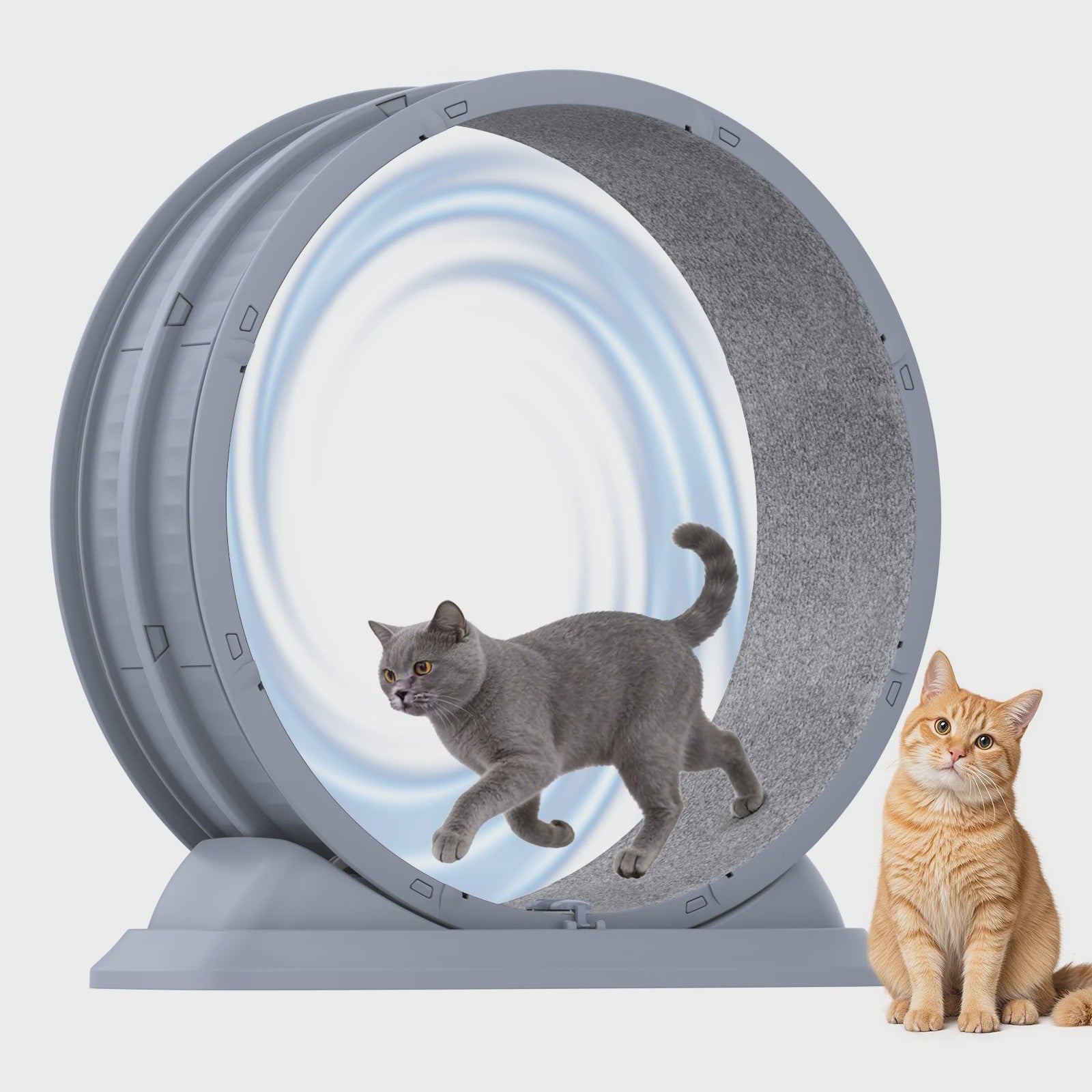 Groot Kattenloopwiel 31.5 inch - Stil & Veilig - Afneembaar Tapijt - Indoor Fitness Loopband voor Katten