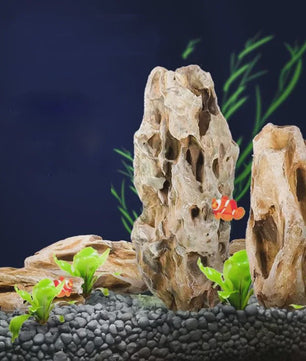 Natuurlijke Aquarium Decoratie Stenen - Microporeus & Plantvriendelijk