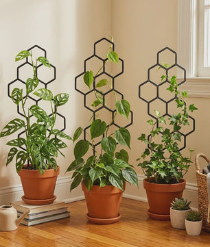 2x Honingraat Plantenrek - Stevig & Roestvrij Plastic Klimrek voor Binnen & Buiten