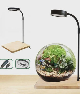 Verstelbare 10W LED Aquarium Lamp met Houten Basis & USB - Ideaal voor Landschapsverlichting