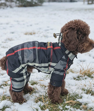 Winterjas voor Honden - Warm & Waterdicht 4-Poten Vest met Verstelbare Sluiting