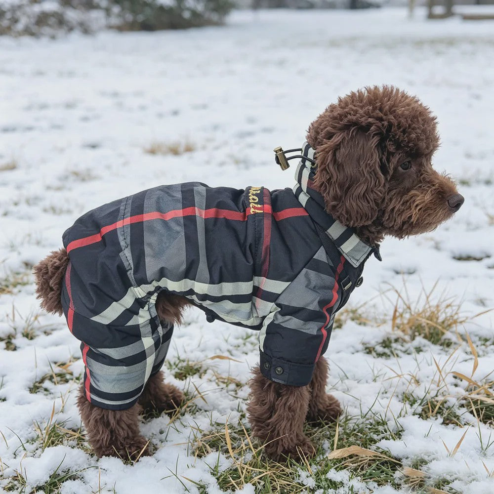 Winterjas voor Honden - Warm & Waterdicht 4-Poten Vest met Verstelbare Sluiting