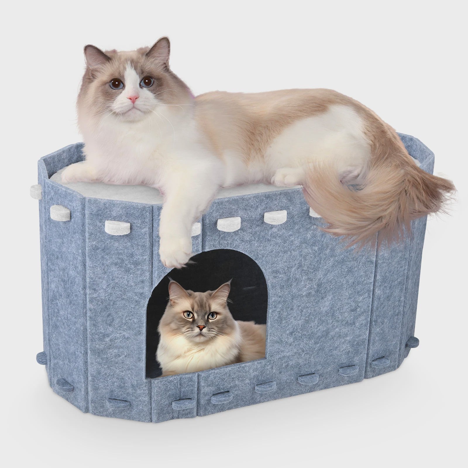 Dubbele Katten Tunnel met Uitneembare Wasbare Filtdelen - Comfort & Krabbescherming